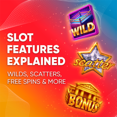 Slot Features Explained guide by Endorphina covering Wild symbols, Scatter symbols, Free Spins, multipliers, bonus features, and online slot game mechanics.