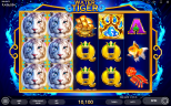 WATER TIGER | Newest Oriental Slot Game Available from Endorphina
